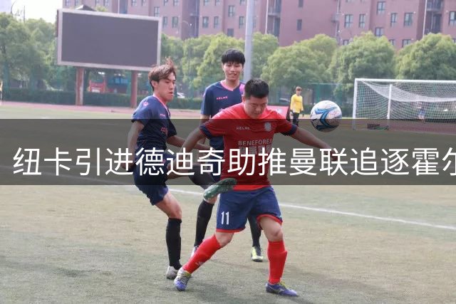 纽卡引进德迪奇助推曼联追逐霍尔